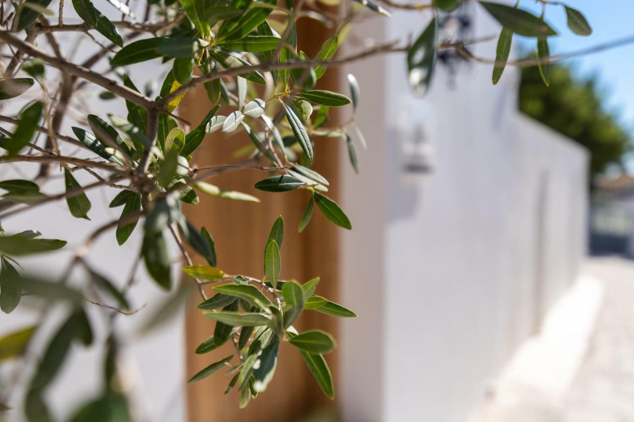 Vila Lindian Ethos Líndos Exteriér fotografie